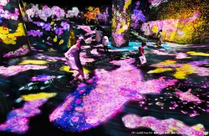 teamLab Forest Fukuoka