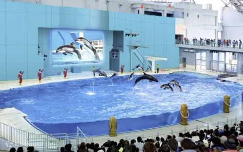 Thrilling Surf Coaster ride swinging out over Yokohama Bay