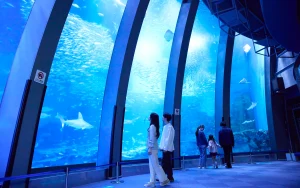Yokohama Hakkeijima Sea Paradise